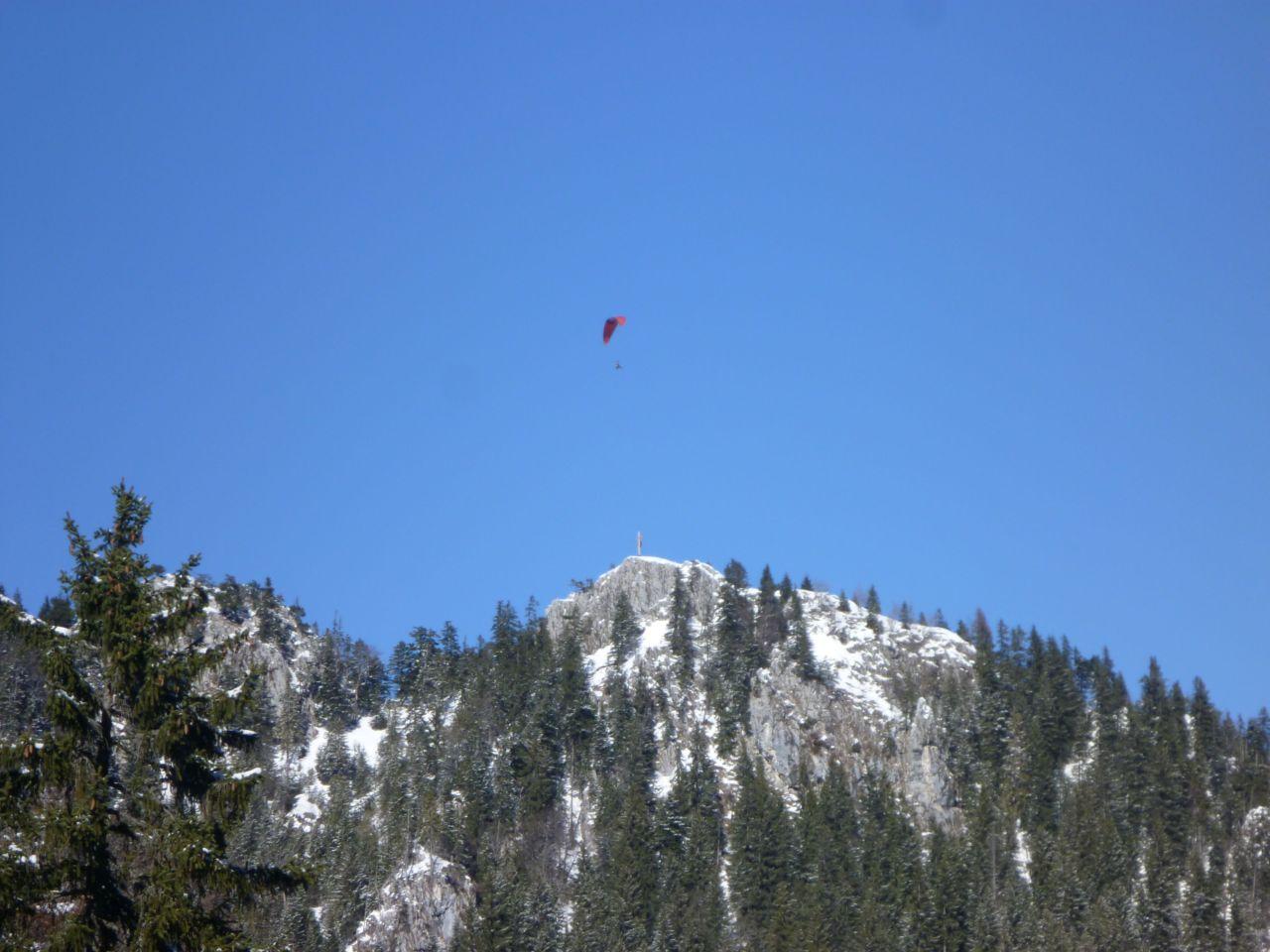 Bild vergr&ouml;ssern