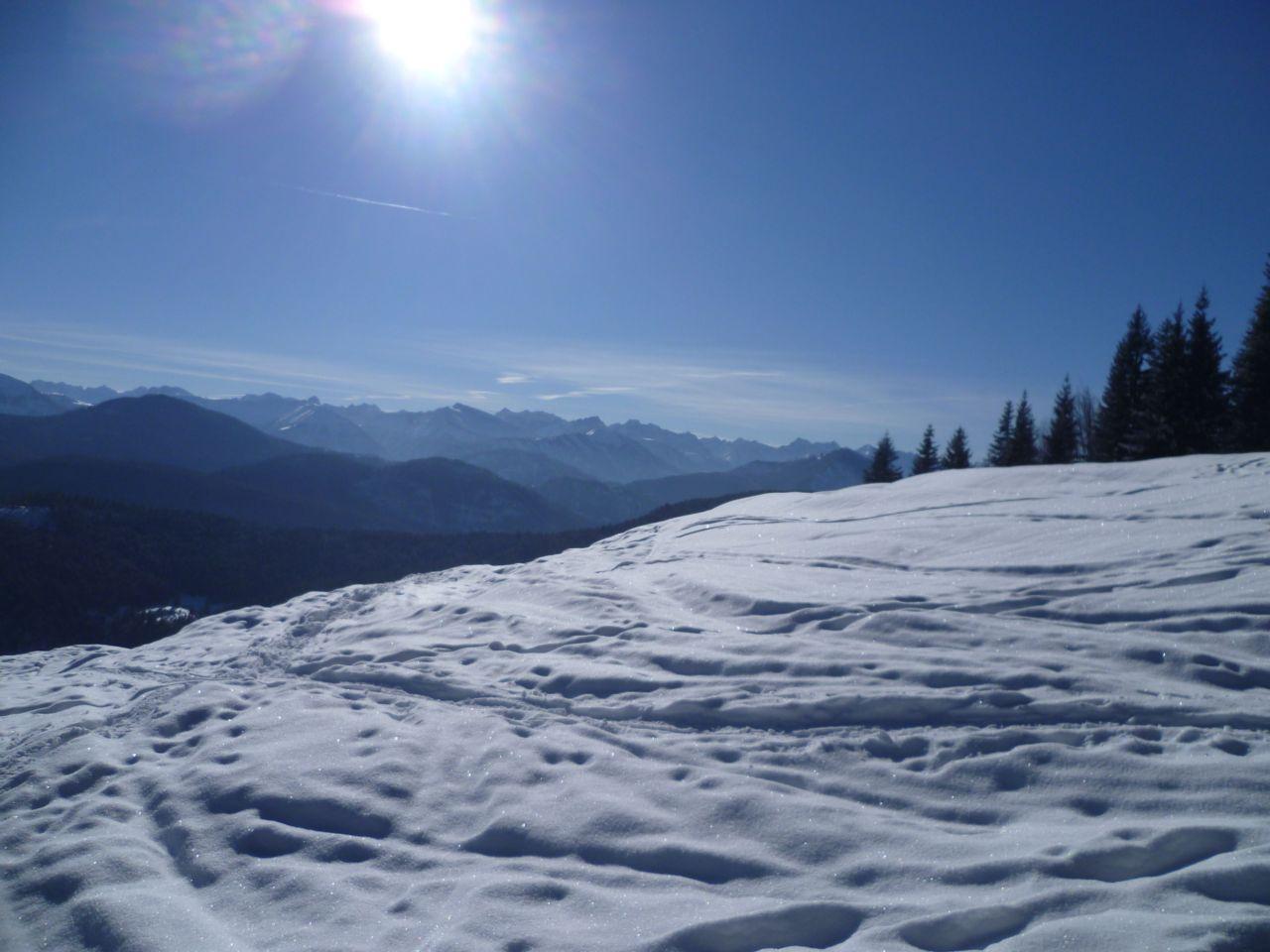 Bild vergr&ouml;ssern