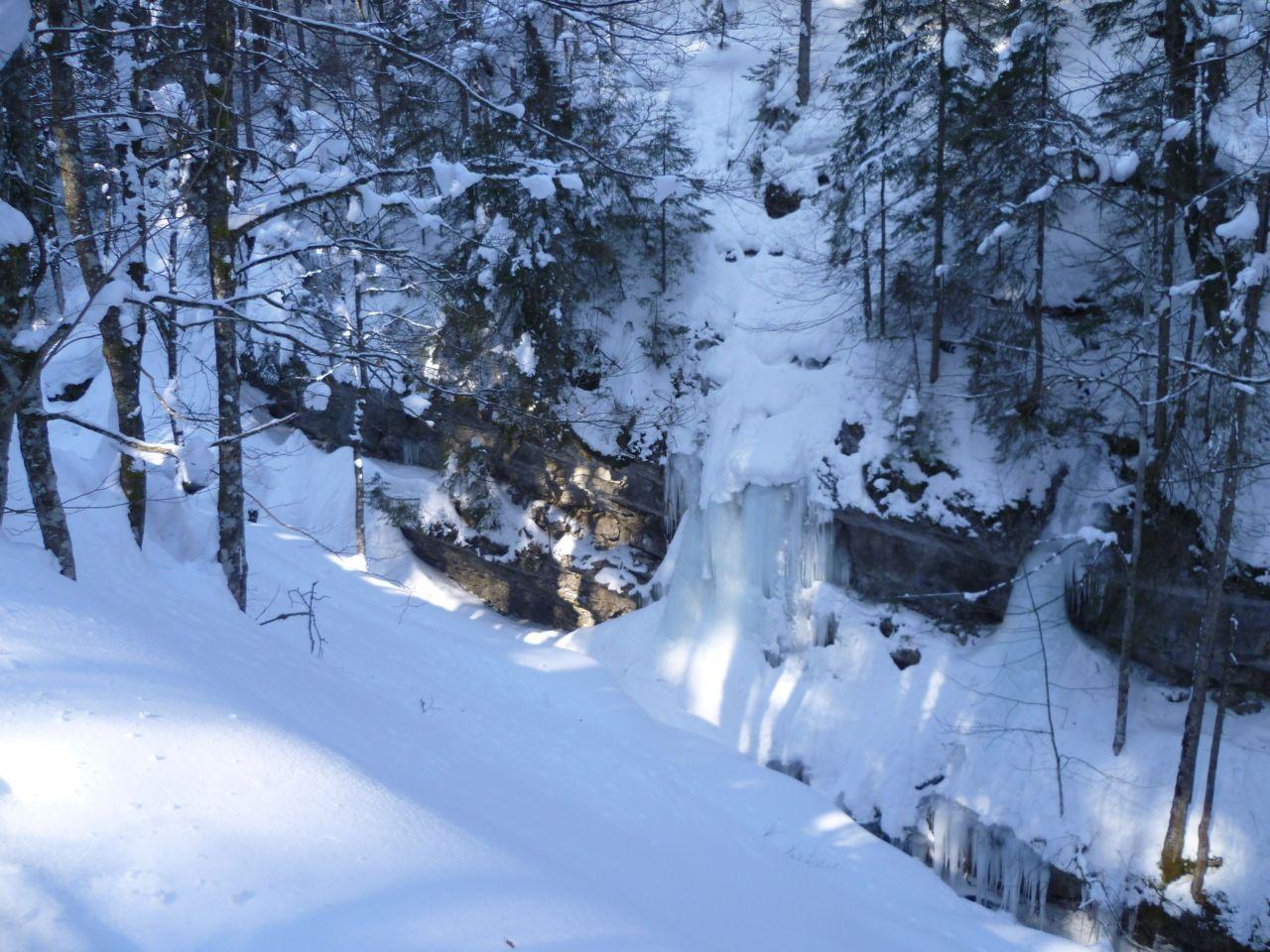Bild vergr&ouml;ssern