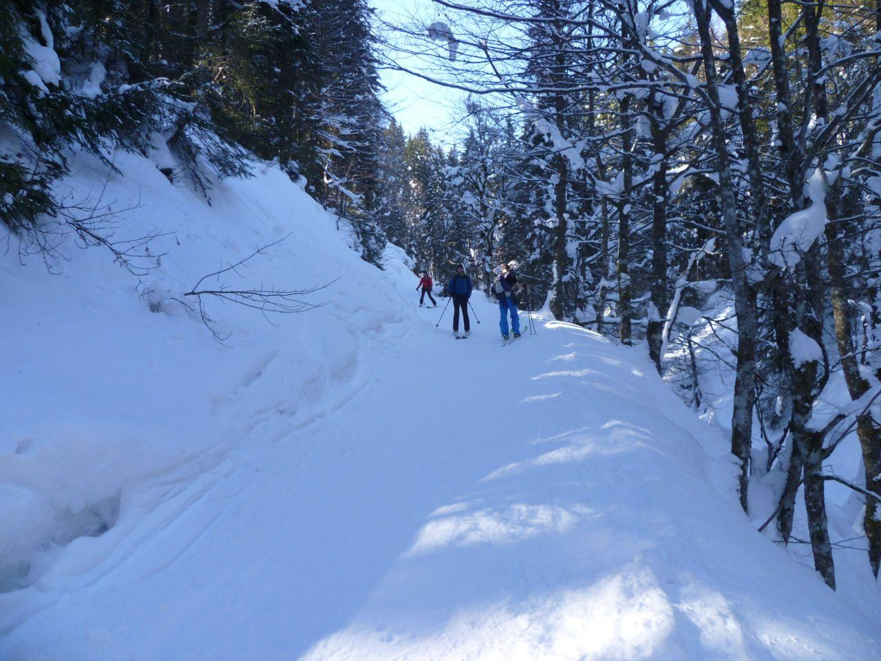 Bild vergr&ouml;ssern