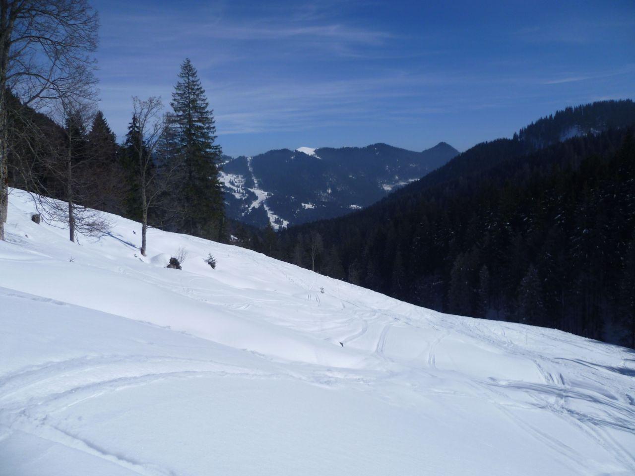 Bild vergr&ouml;ssern