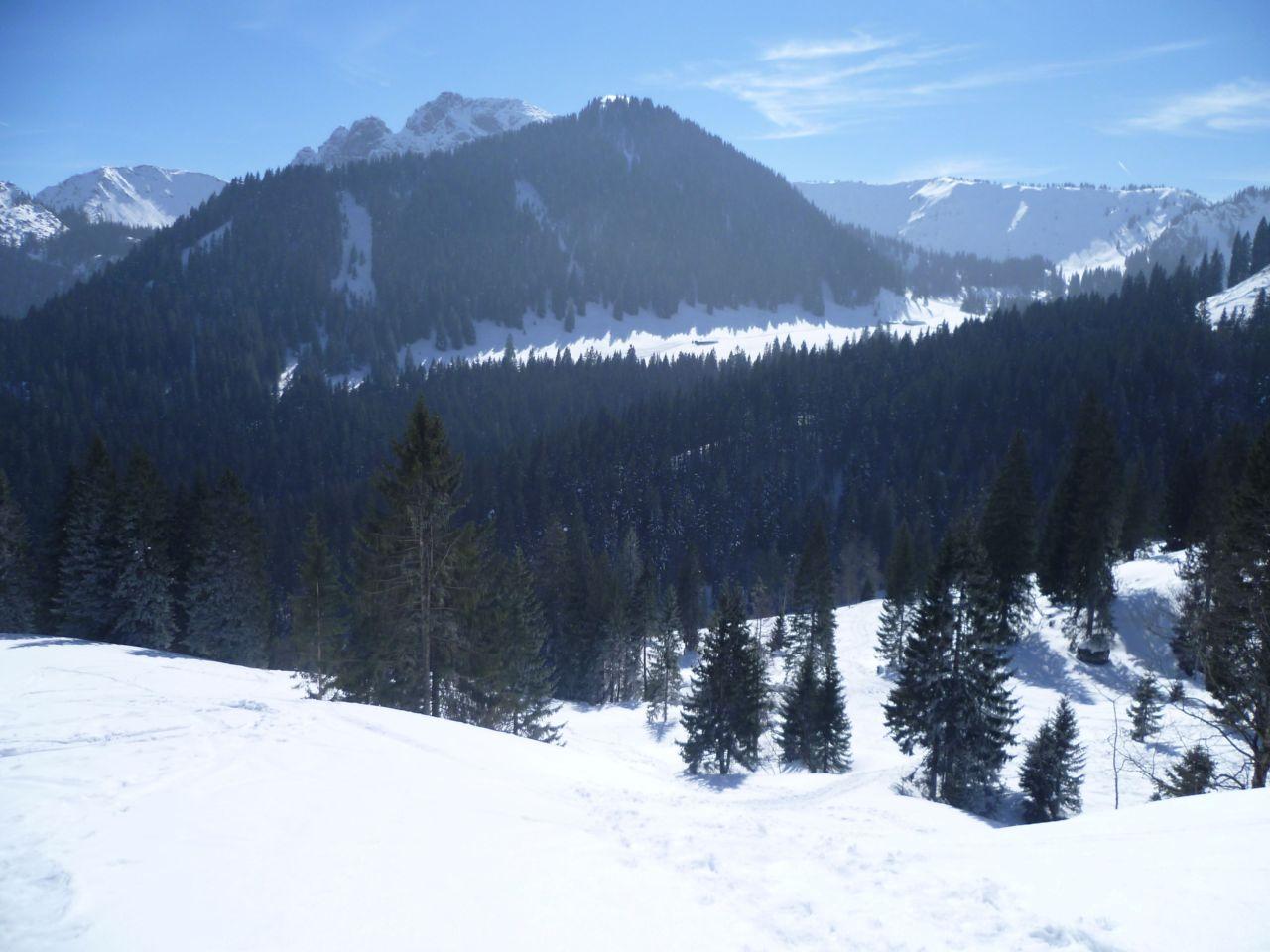 Bild vergr&ouml;ssern