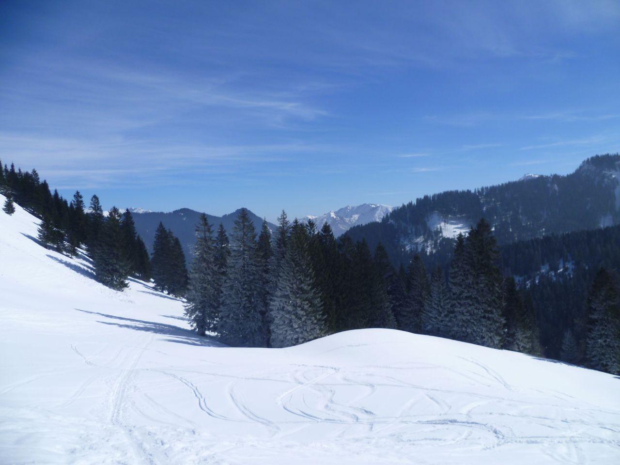 Bild vergr&ouml;ssern