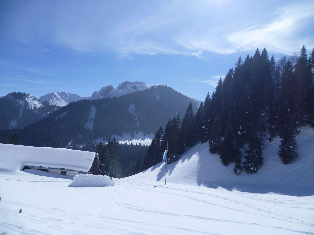 Bild vergr&ouml;ssern