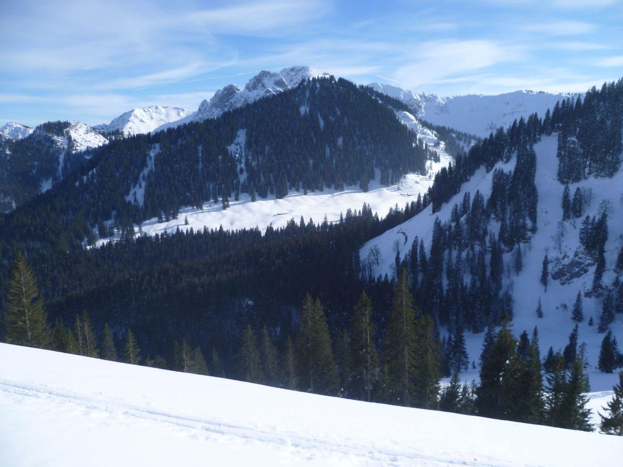 Bild vergr&ouml;ssern