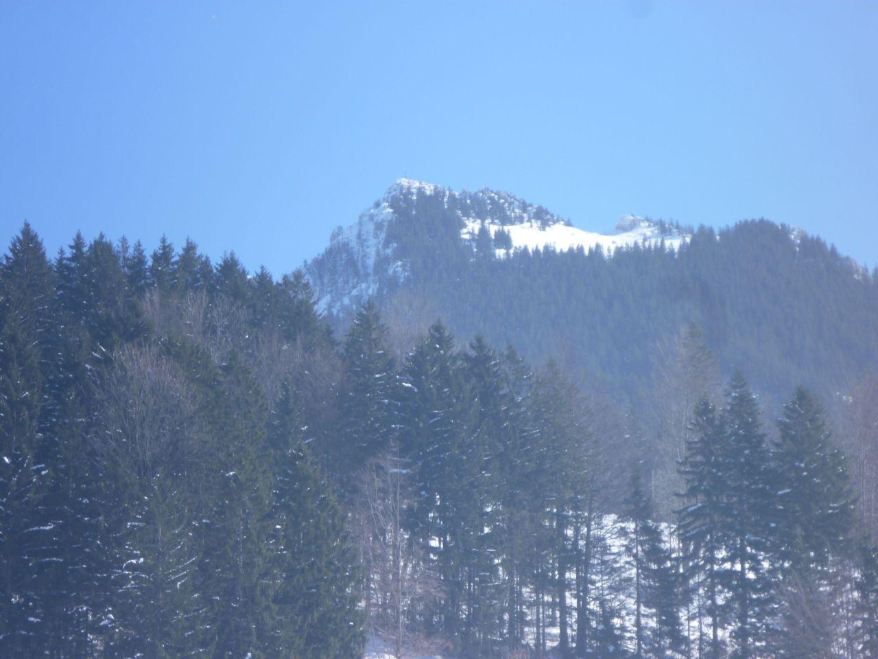 Bild vergr&ouml;ssern