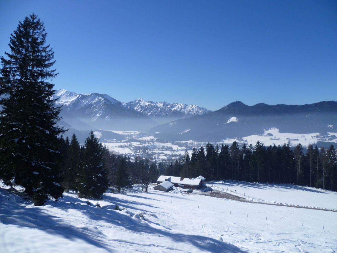 Bild vergr&ouml;ssern