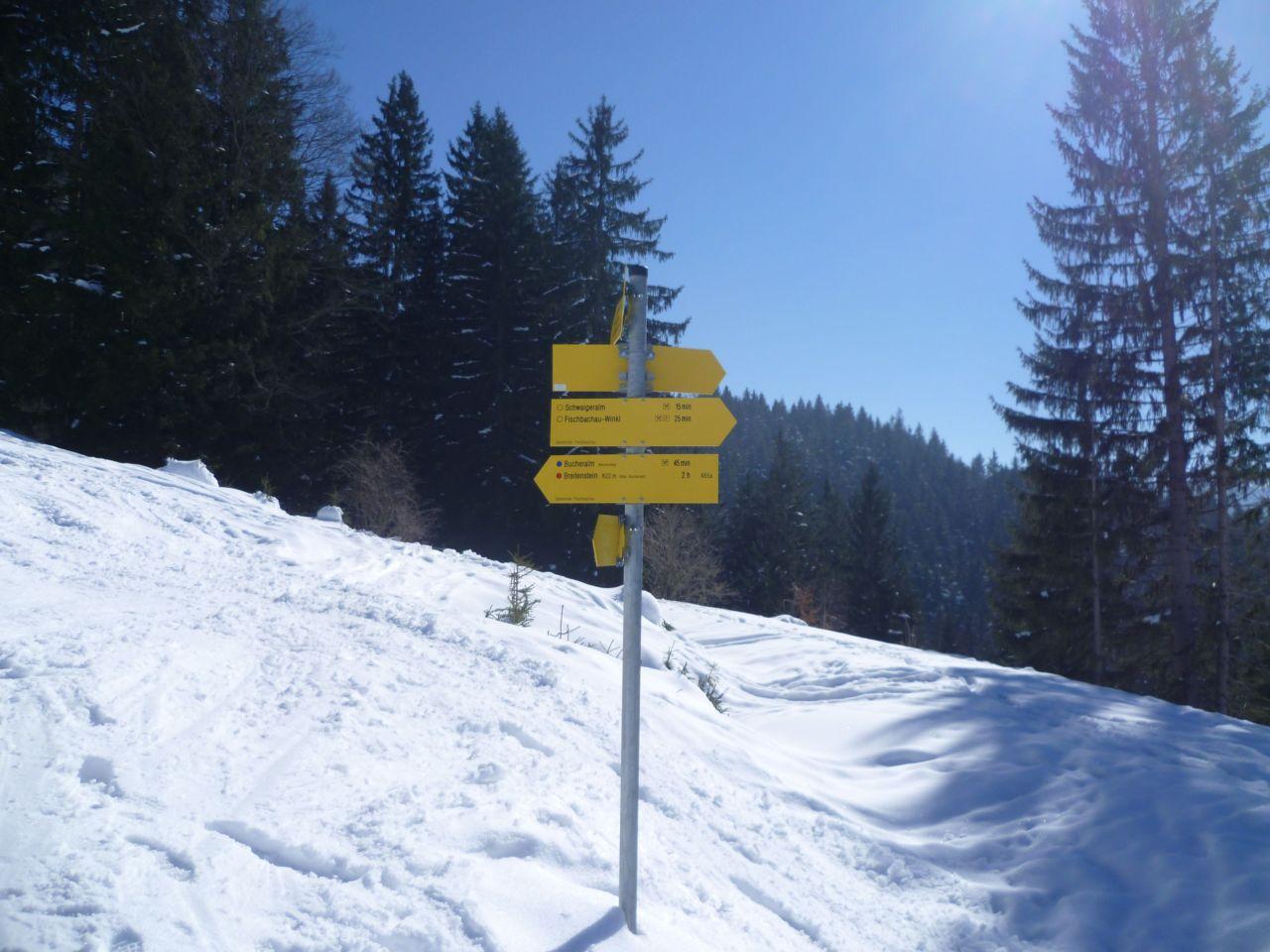 Bild vergr&ouml;ssern