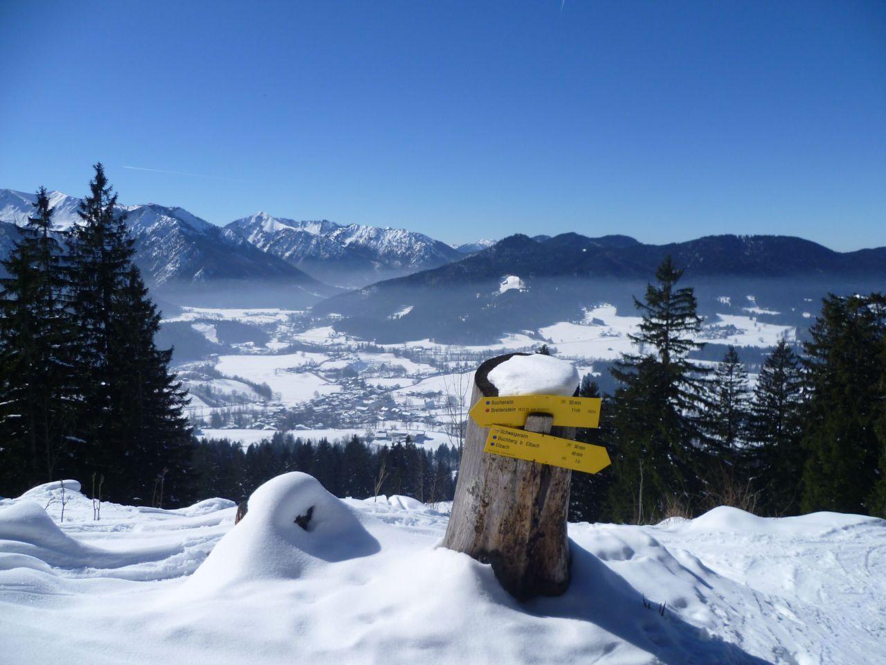 Bild vergr&ouml;ssern