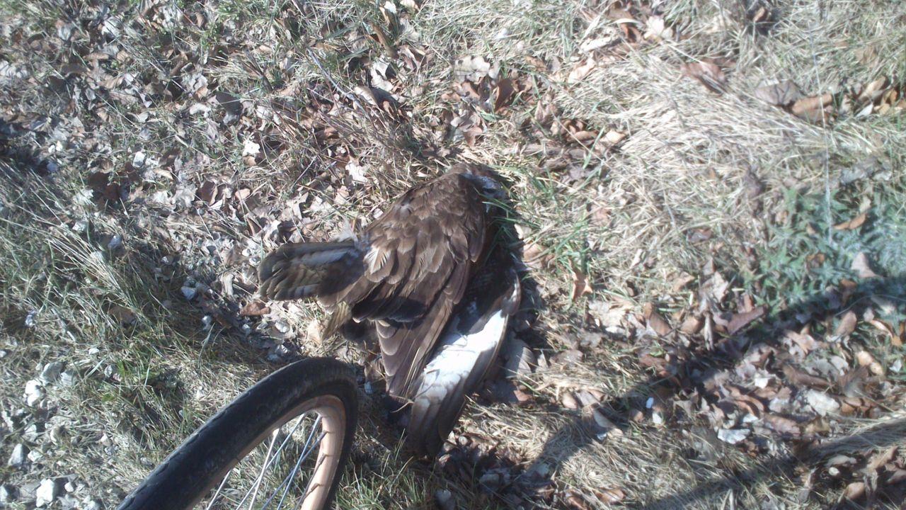 Bild vergr&ouml;ssern