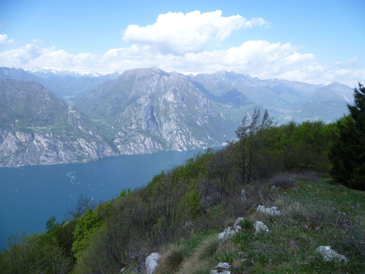 Bild vergr&ouml;ssern