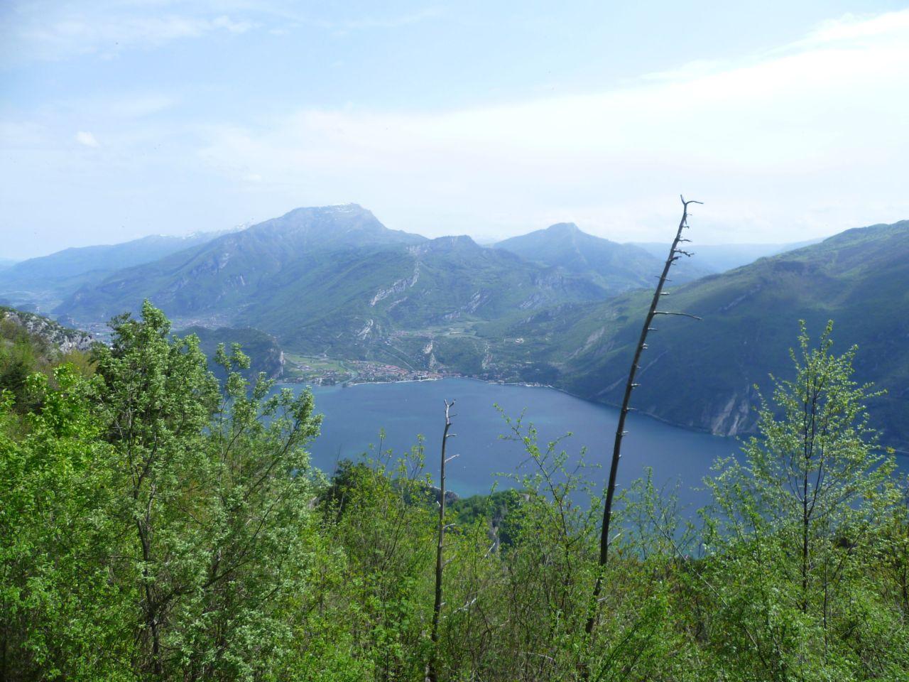 Bild vergr&ouml;ssern