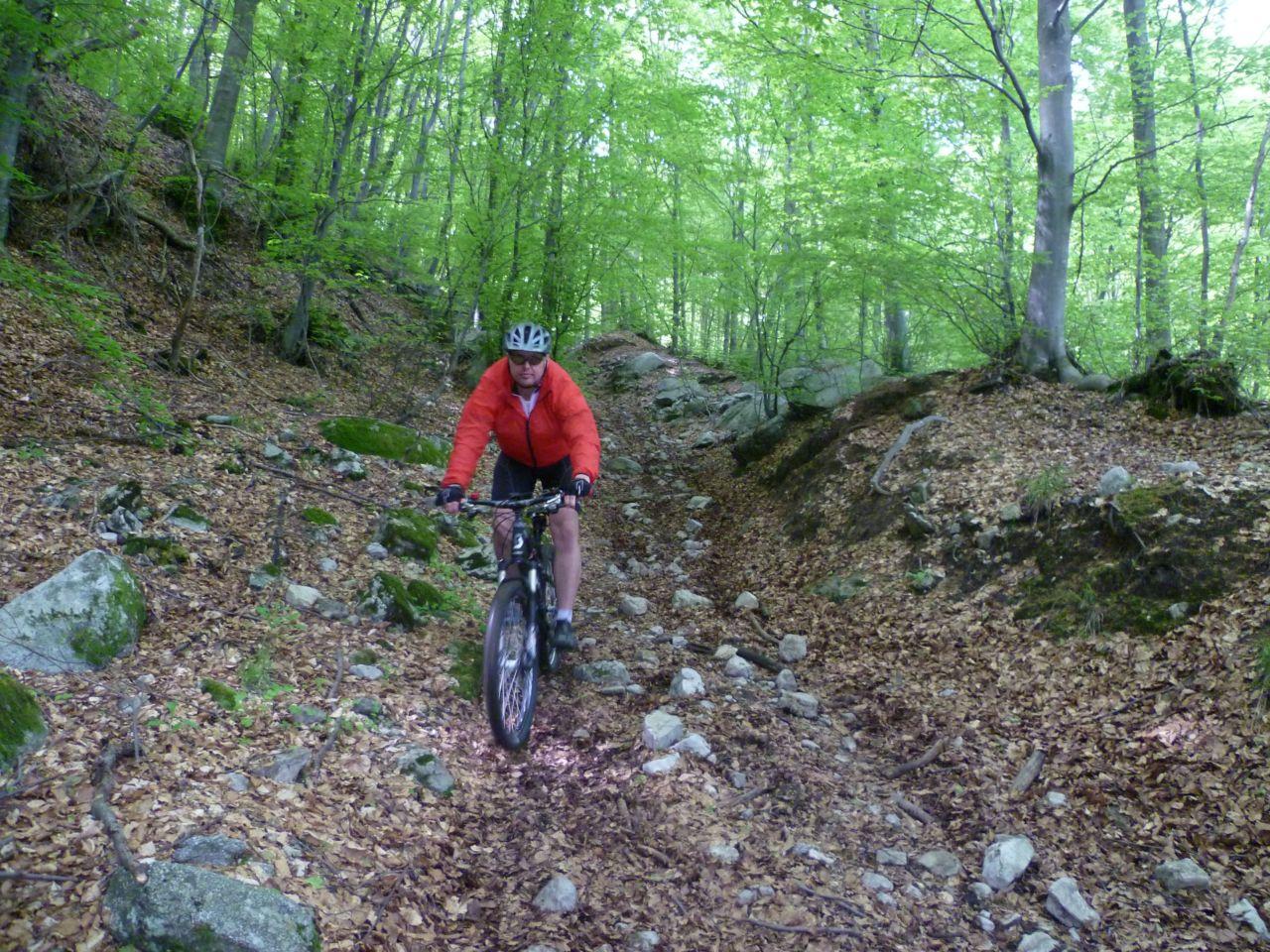 Bild vergr&ouml;ssern