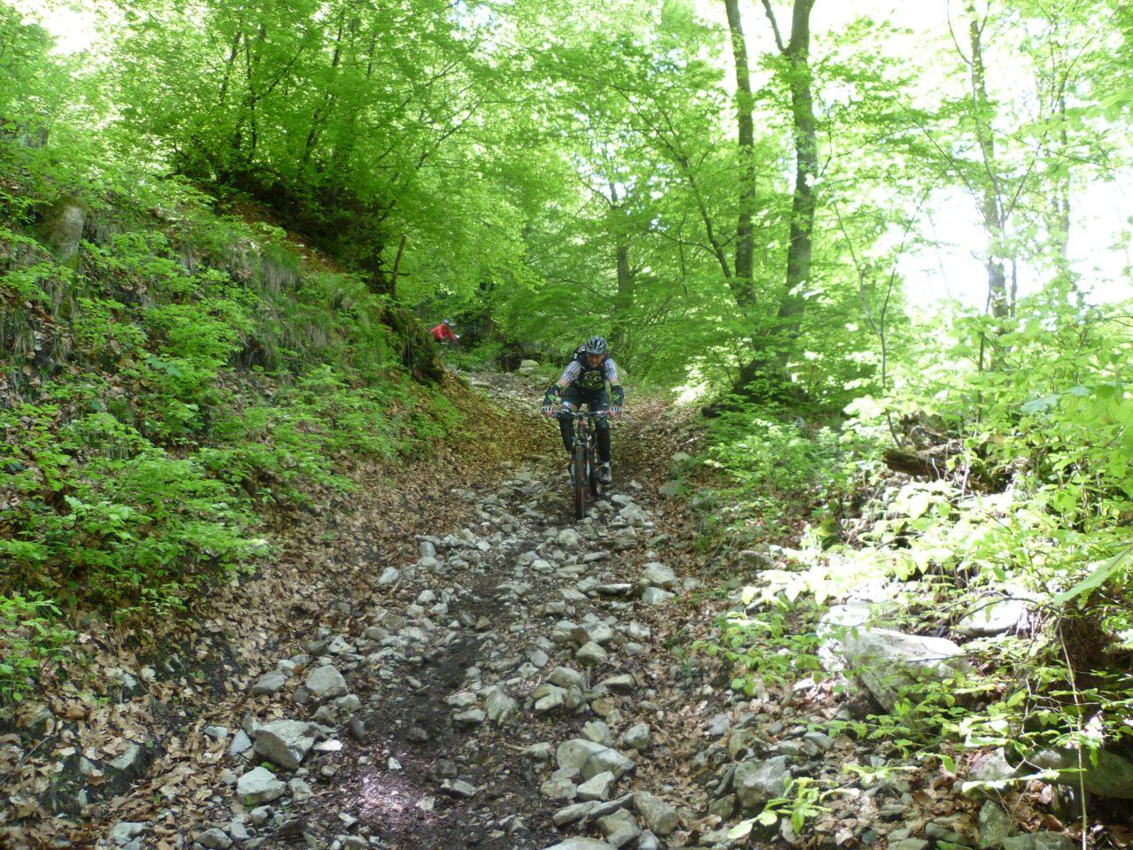 Bild vergr&ouml;ssern