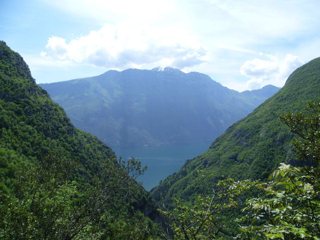 Bild vergr&ouml;ssern