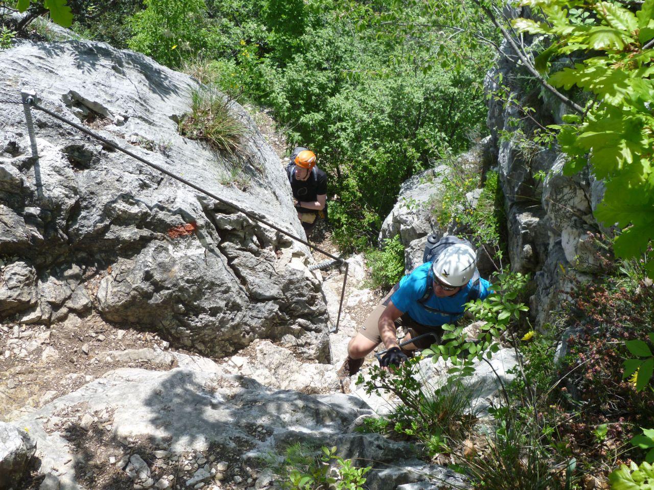 Bild vergr&ouml;ssern
