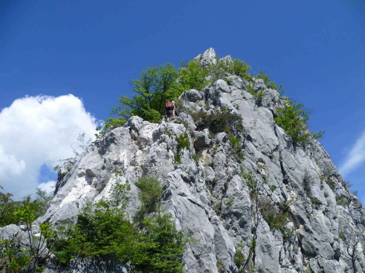 Bild vergr&ouml;ssern