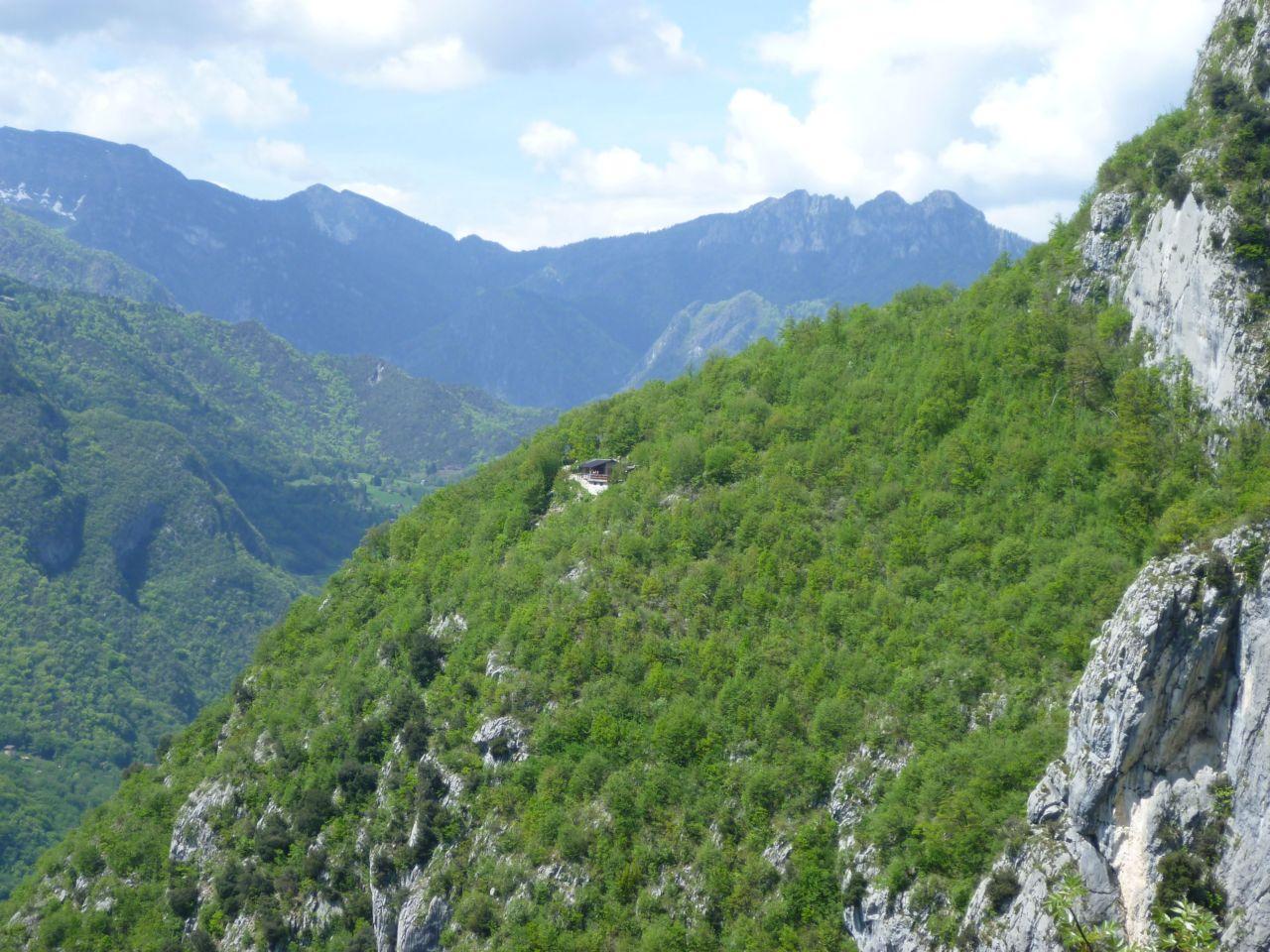 Bild vergr&ouml;ssern