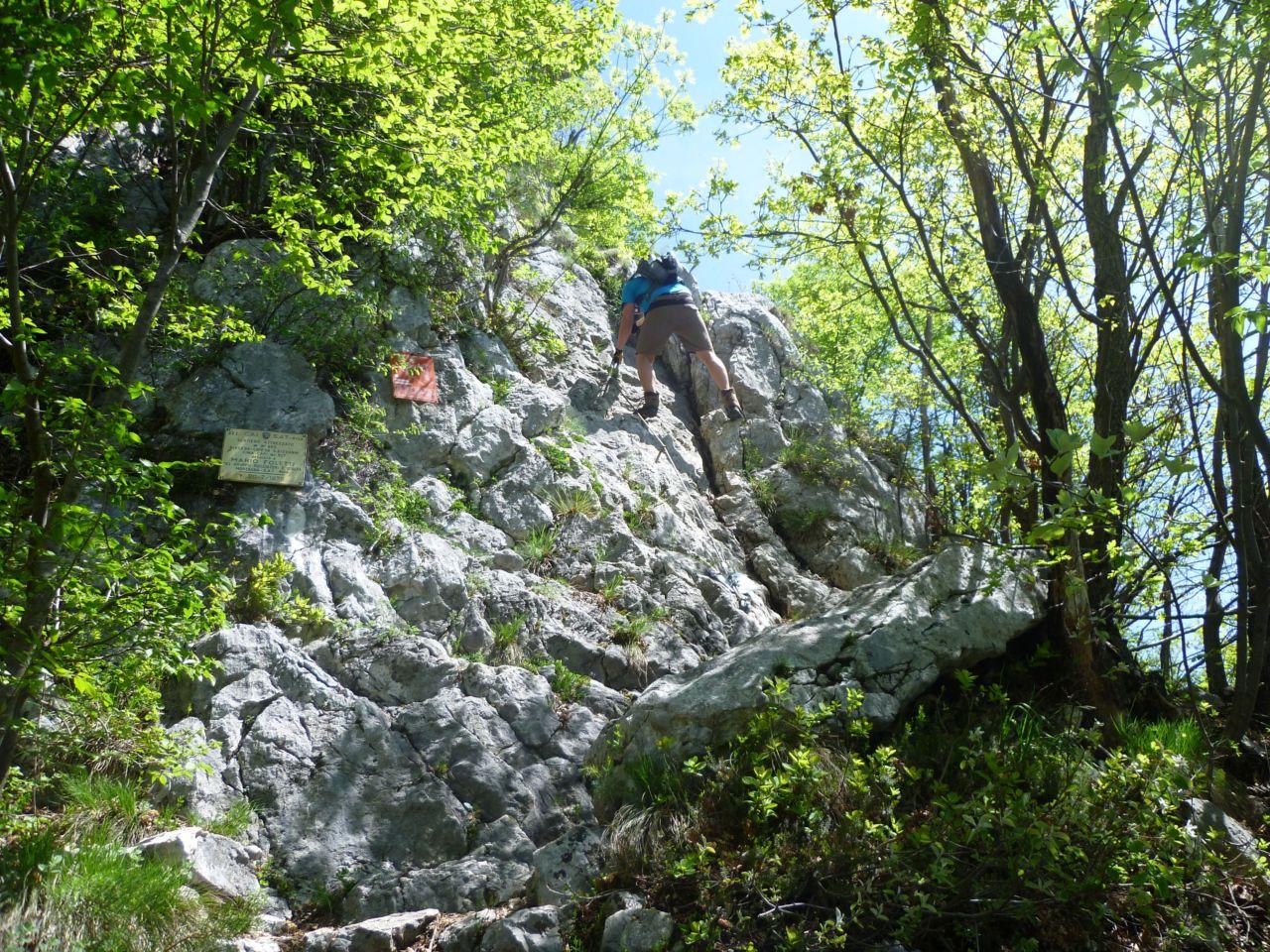 Bild vergr&ouml;ssern