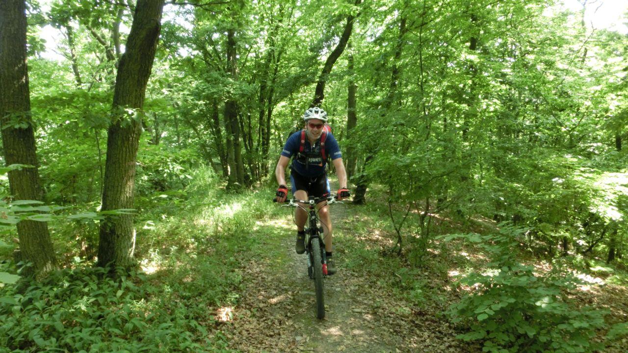 Bild vergr&ouml;ssern