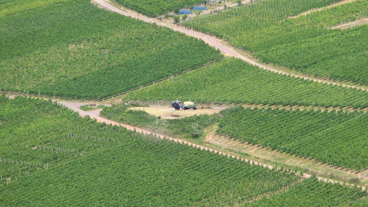 Bild vergr&ouml;ssern