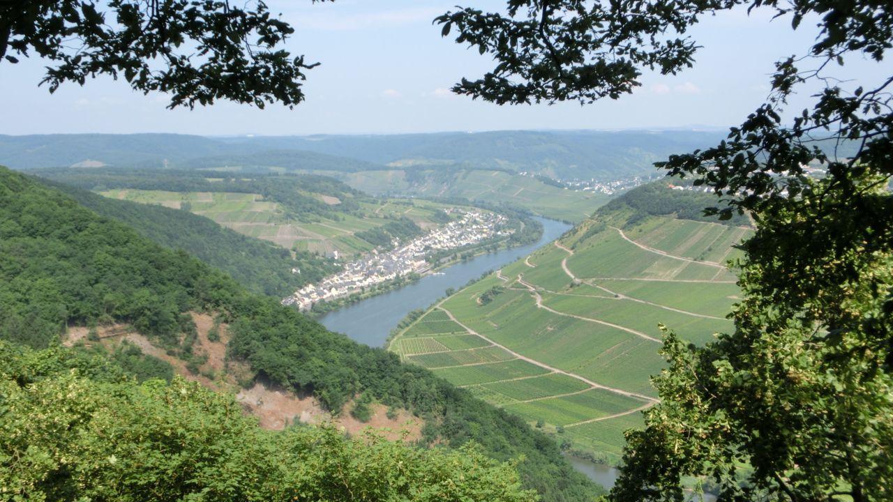 Bild vergr&ouml;ssern