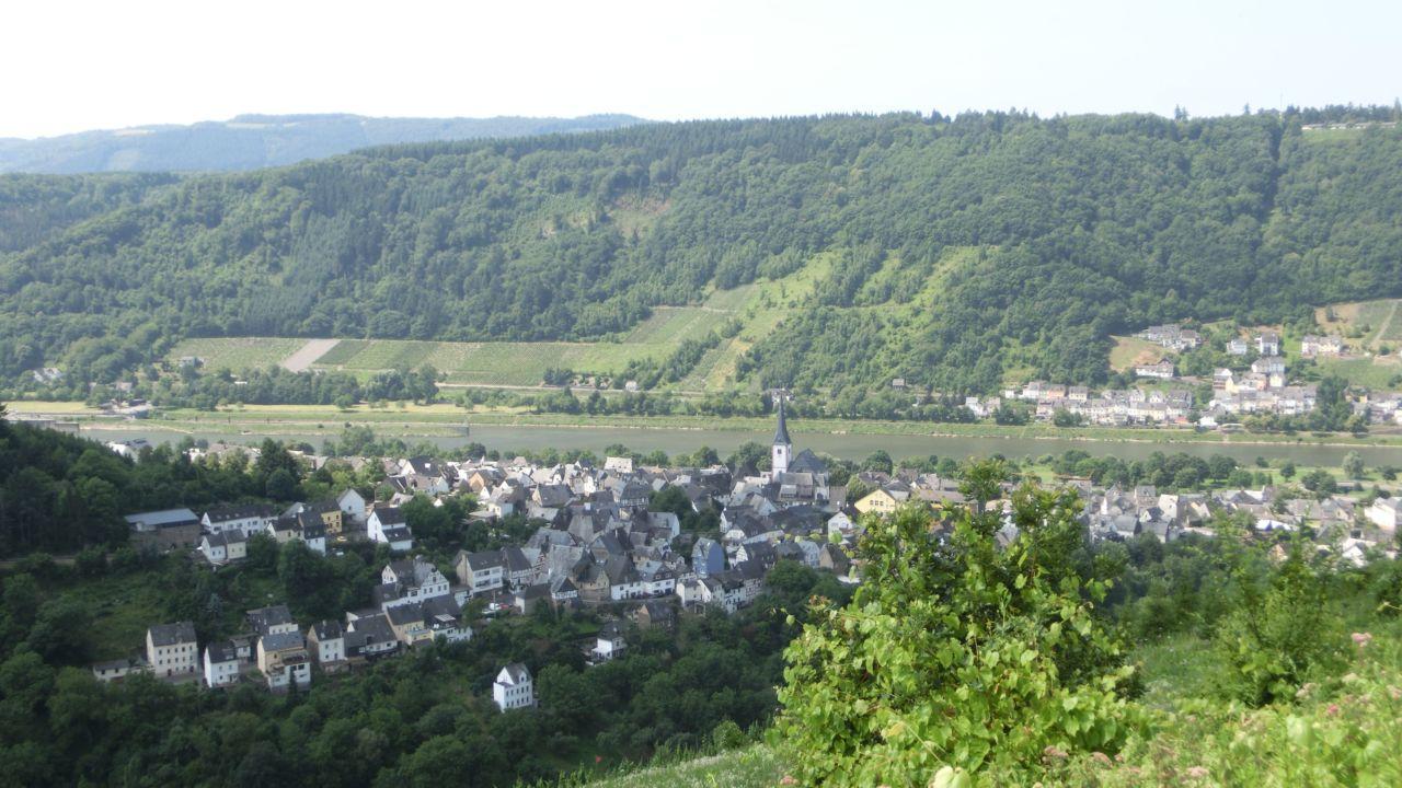 Bild vergr&ouml;ssern