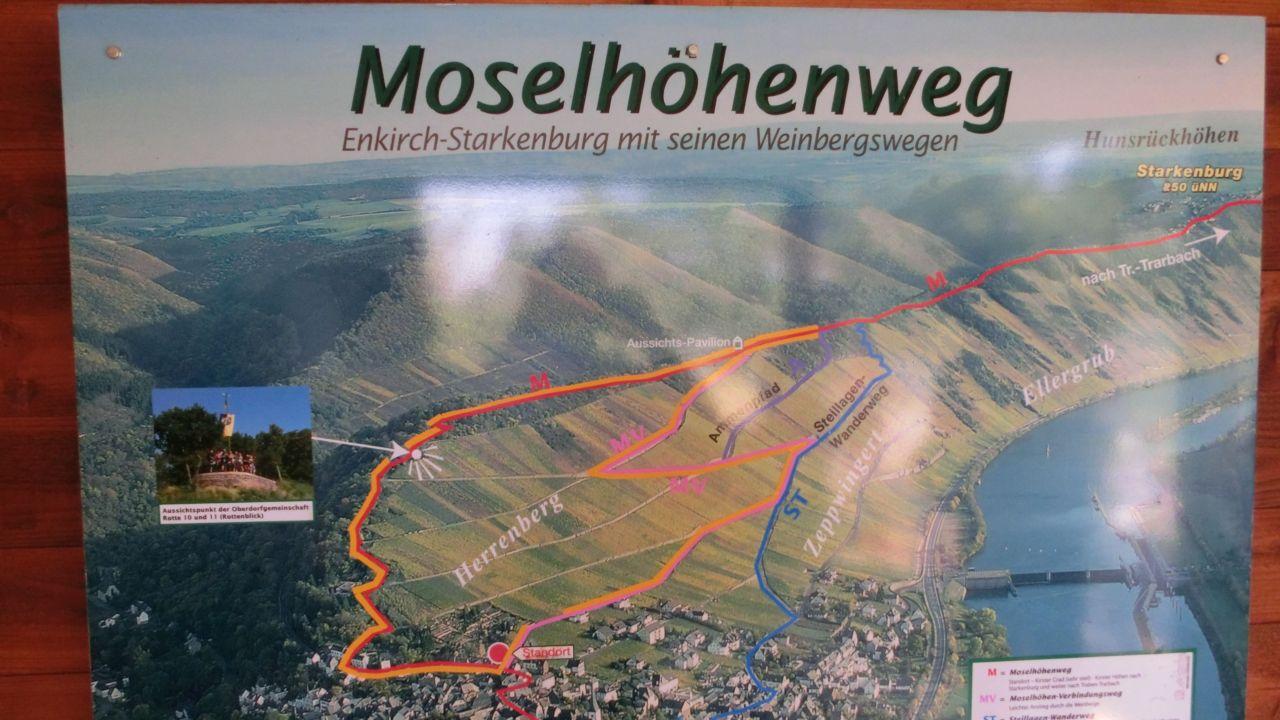 Bild vergr&ouml;ssern