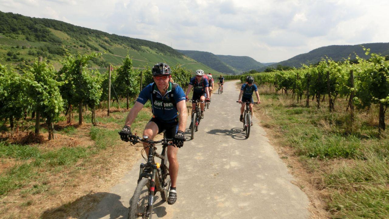 Bild vergr&ouml;ssern