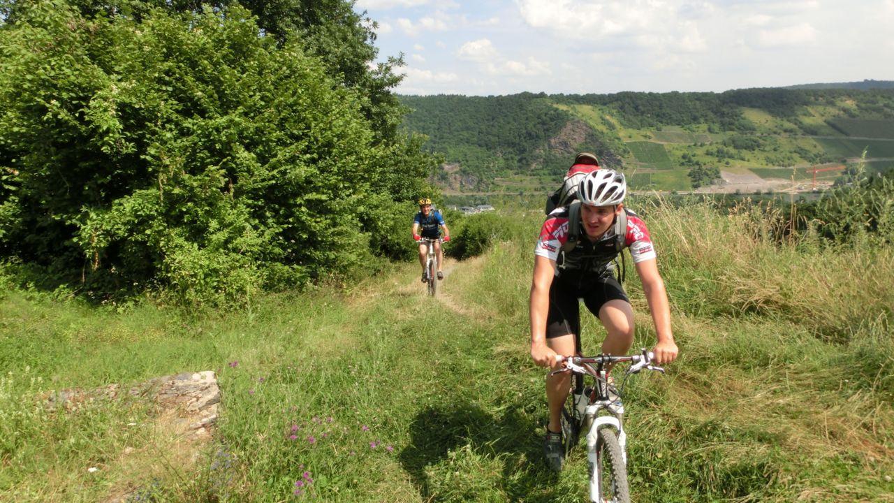 Bild vergr&ouml;ssern