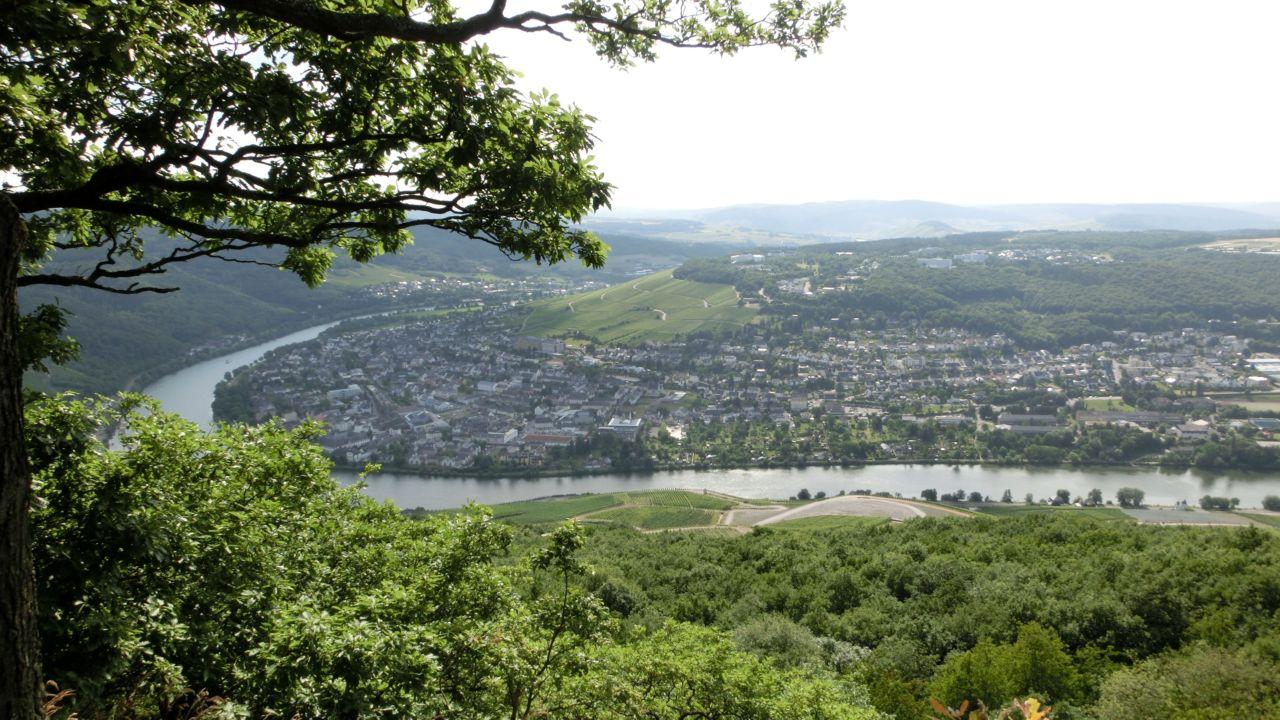 Bild vergr&ouml;ssern