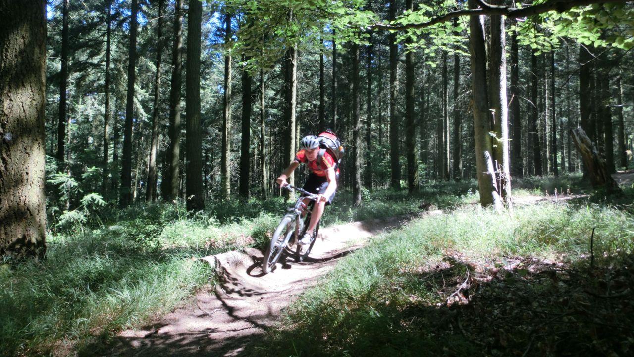 Bild vergr&ouml;ssern