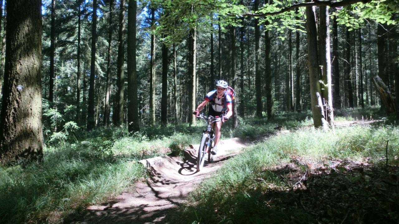 Bild vergr&ouml;ssern