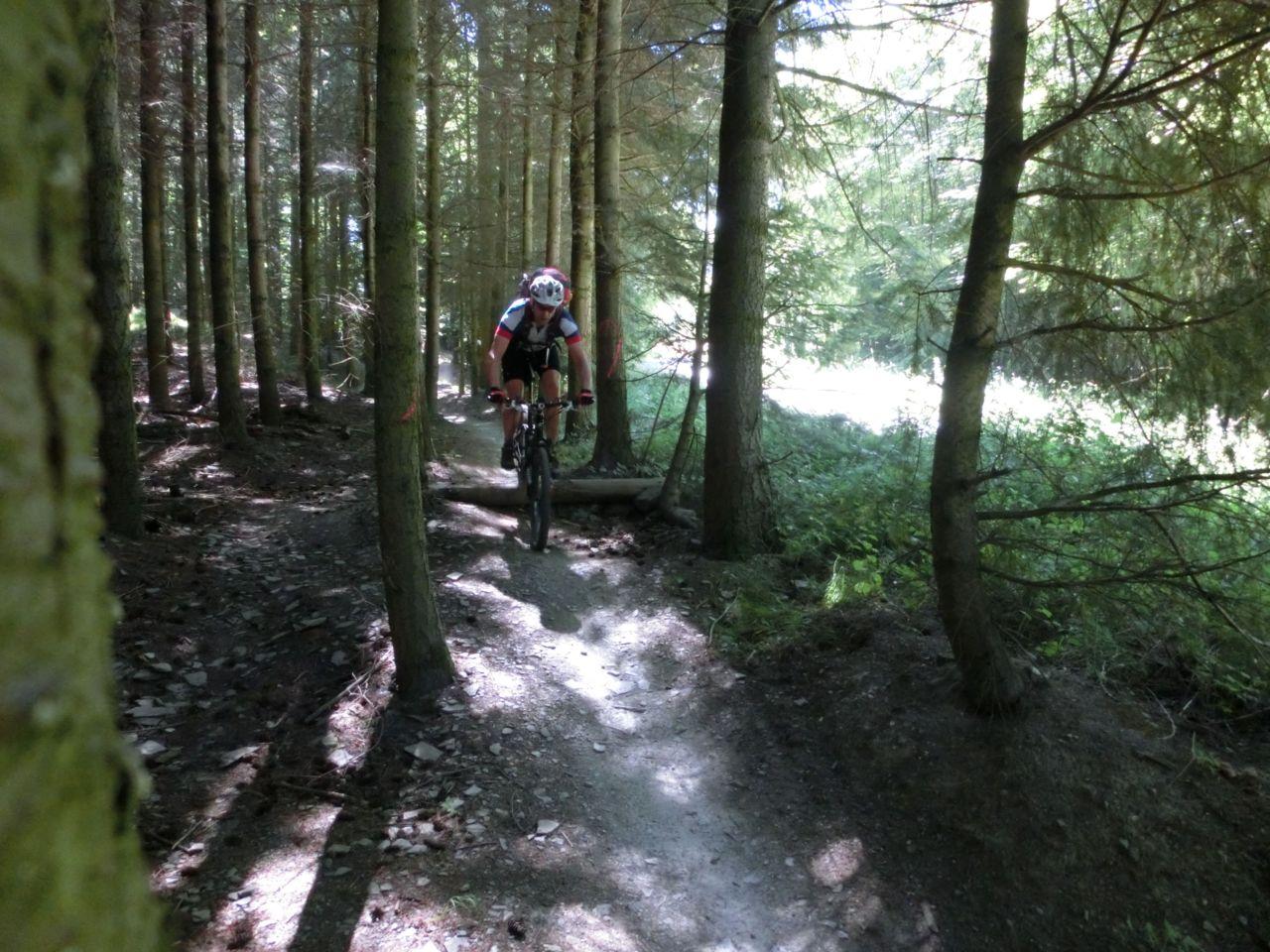 Bild vergr&ouml;ssern