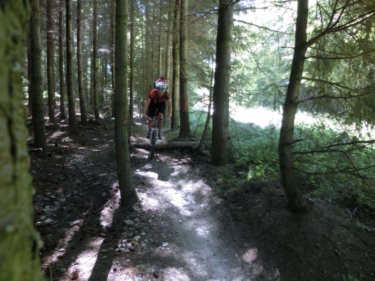 Bild vergr&ouml;ssern