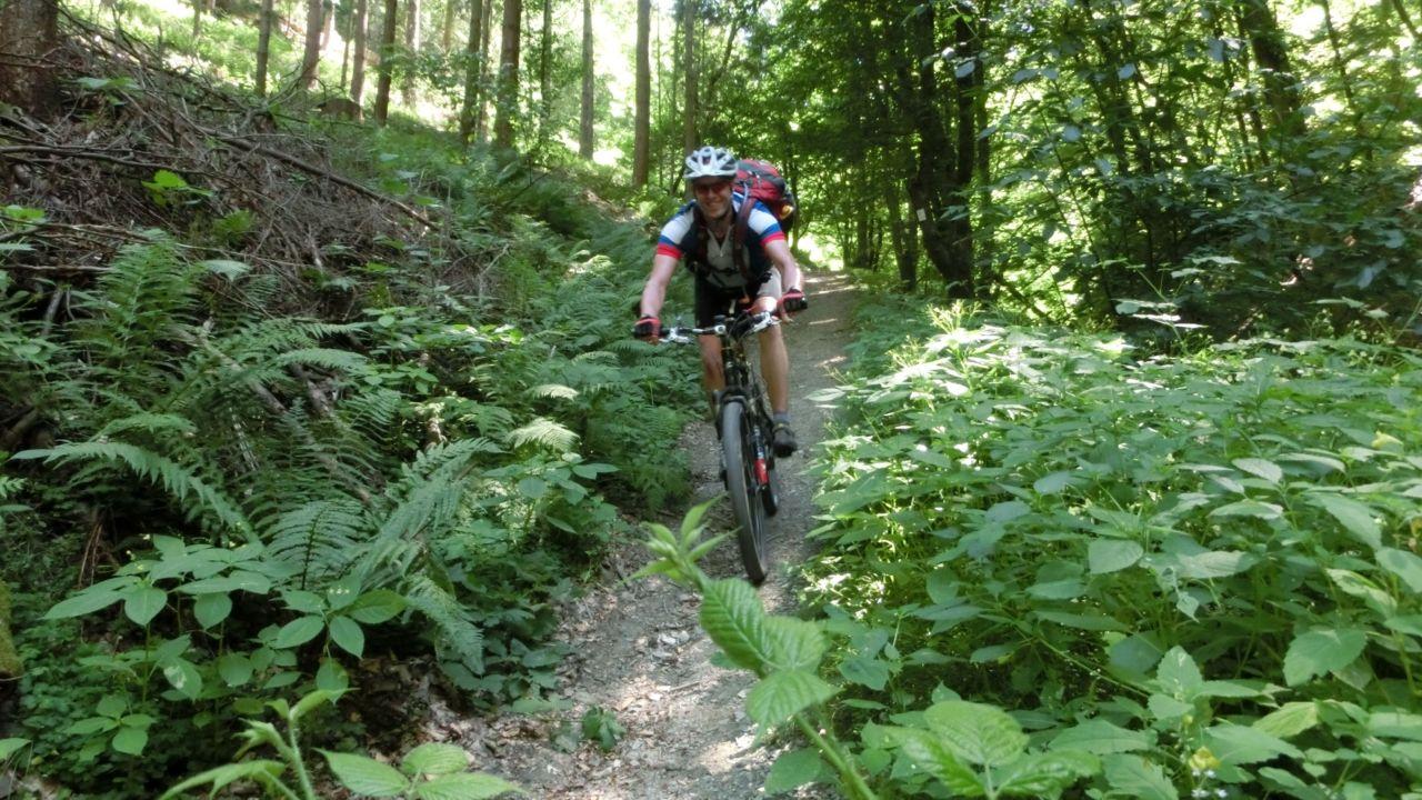 Bild vergr&ouml;ssern