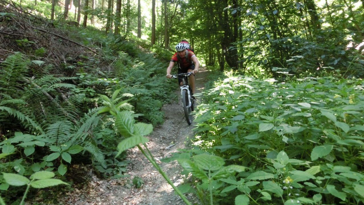 Bild vergr&ouml;ssern