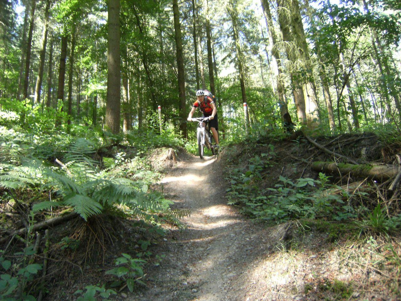 Bild vergr&ouml;ssern