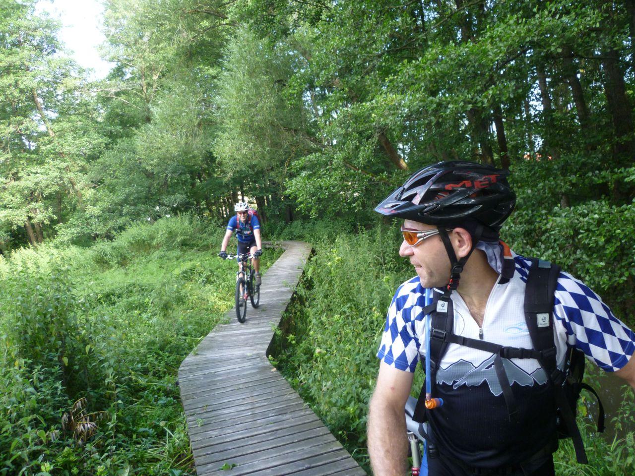 Bild vergr&ouml;ssern