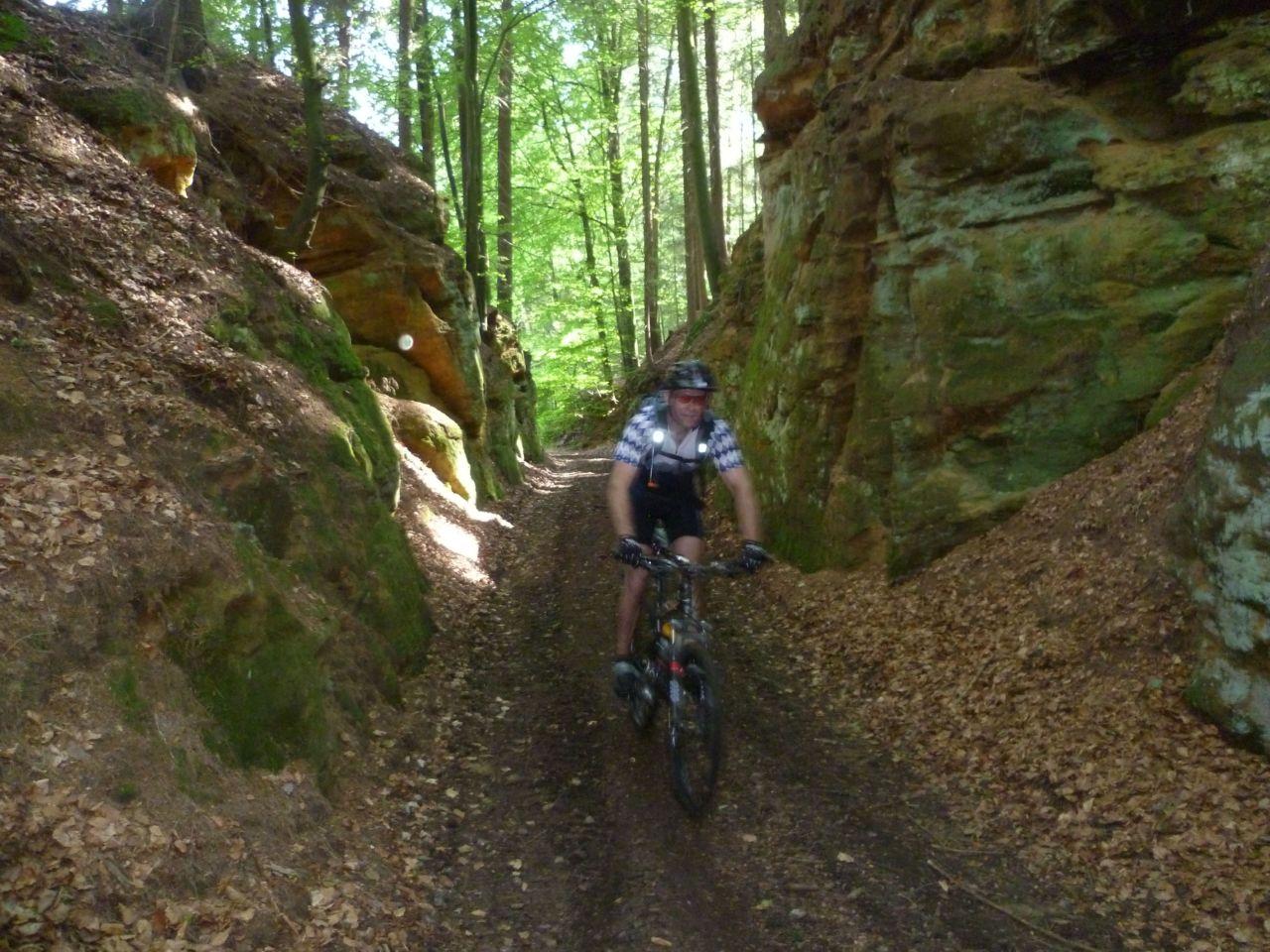 Bild vergr&ouml;ssern