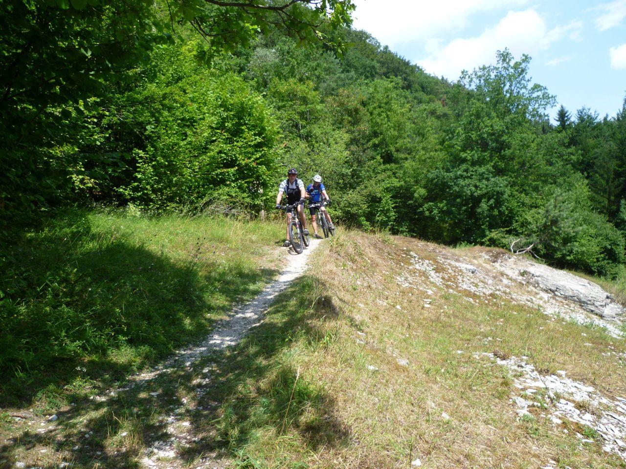 Bild vergr&ouml;ssern