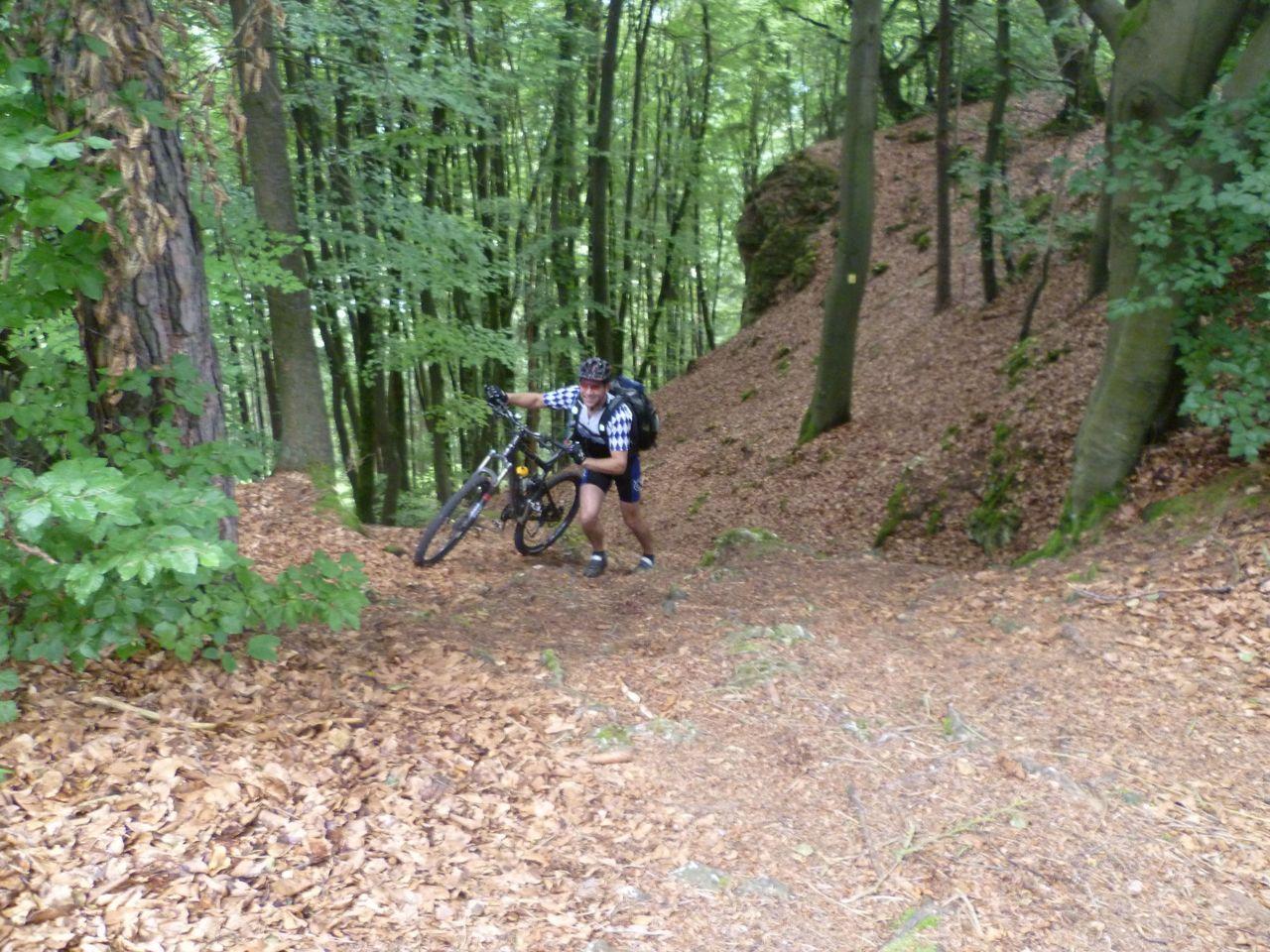 Bild vergr&ouml;ssern