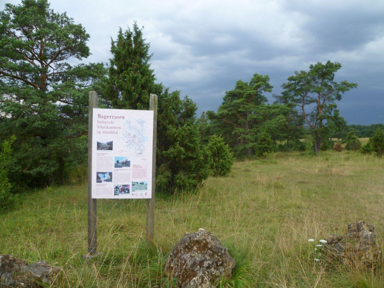 Bild vergr&ouml;ssern