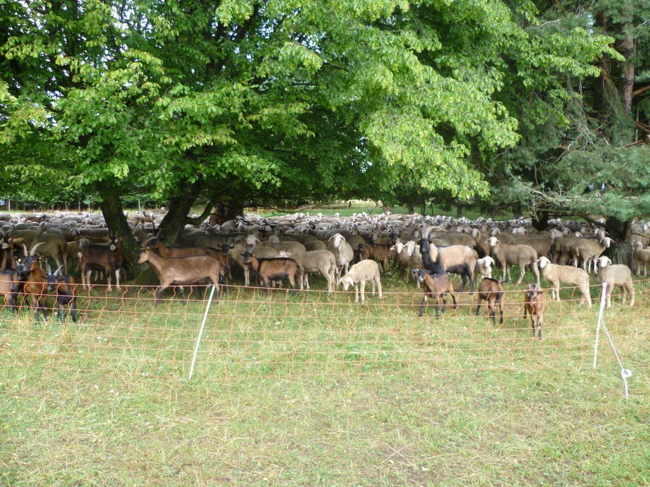 Bild vergr&ouml;ssern