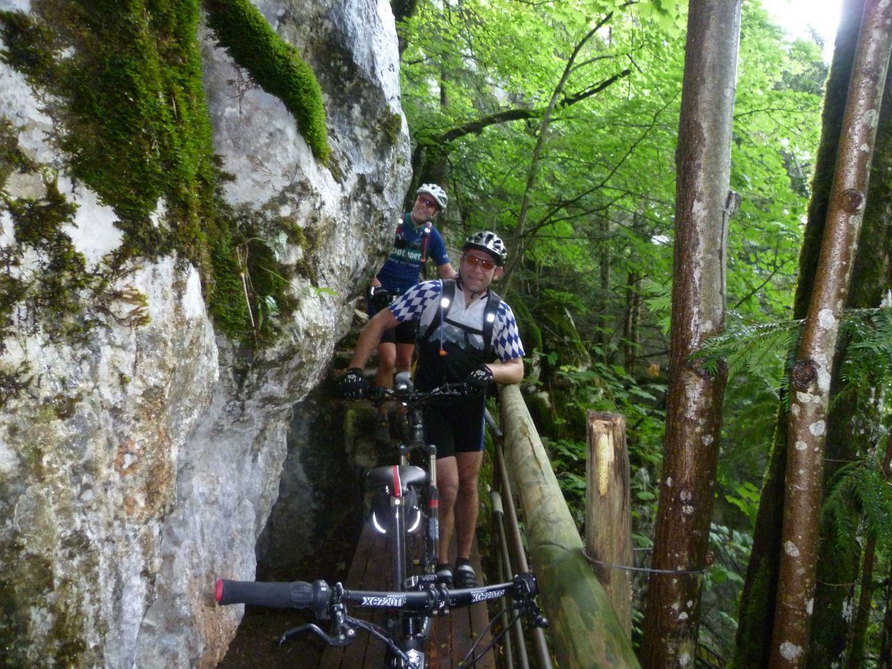 Bild vergr&ouml;ssern