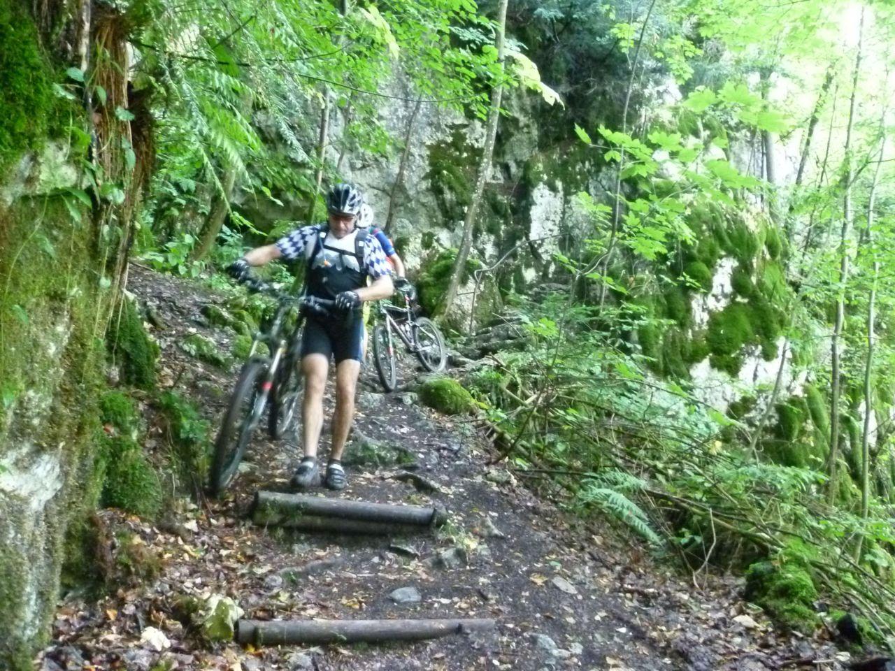 Bild vergr&ouml;ssern