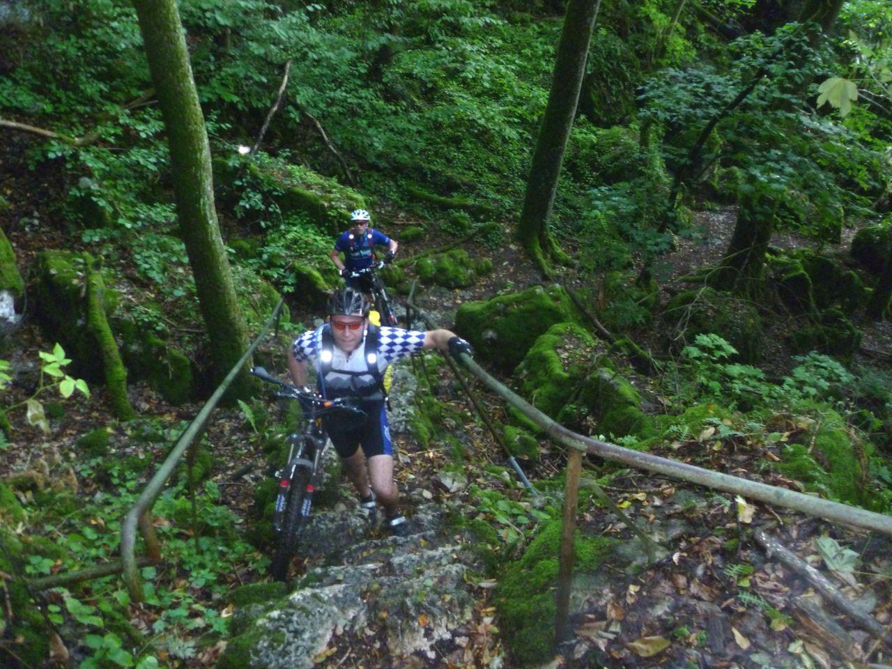 Bild vergr&ouml;ssern