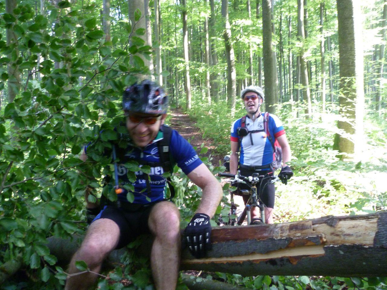 Bild vergr&ouml;ssern