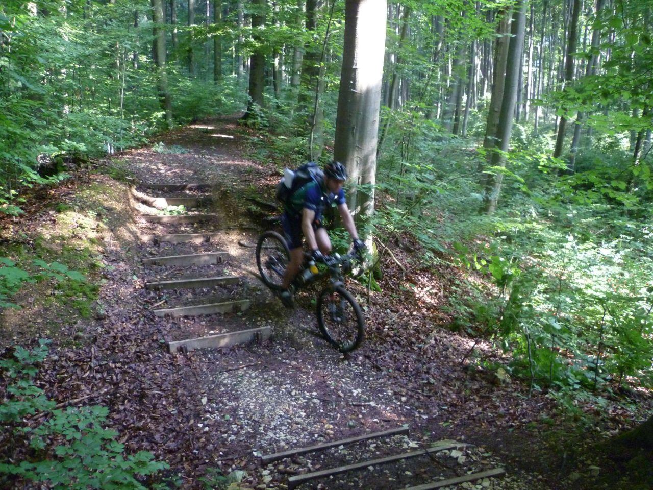 Bild vergr&ouml;ssern