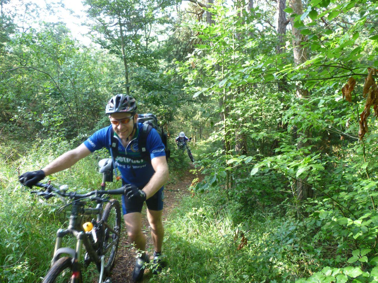 Bild vergr&ouml;ssern